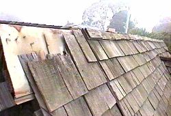 [ADAM R. JONES VIDEO IMAGE]