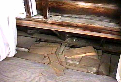 [ADAM R. JONES VIDEO IMAGE]