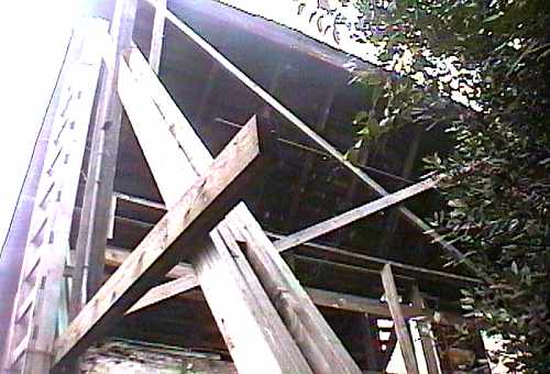 [ADAM R. JONES VIDEO IMAGE]