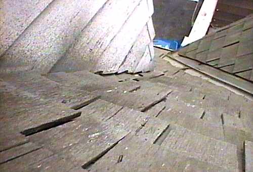 [ADAM R. JONES VIDEO IMAGE]