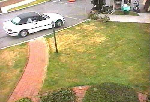 [ADAM R. JONES VIDEO IMAGE]