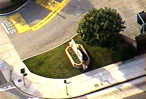 [ADAM R. JONES VIDEO IMAGE]