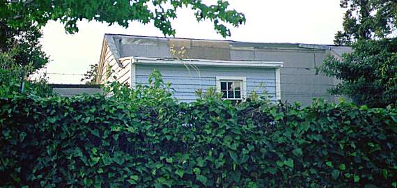 [ADAM R. JONES PHOTO]