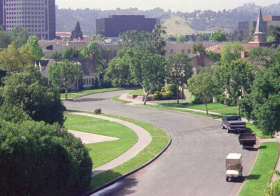 [ADAM R. JONES PHOTO]