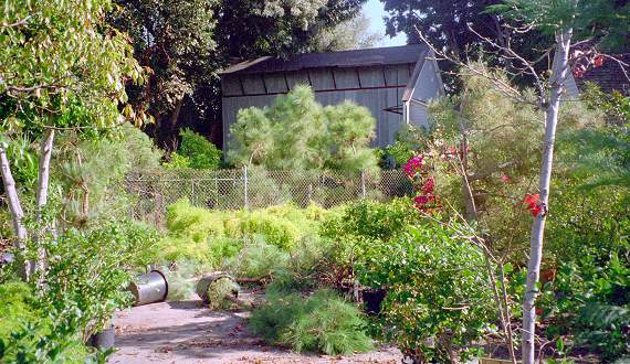 [ADAM R. JONES PHOTO]