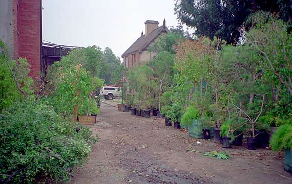 [ADAM R. JONES PHOTO]