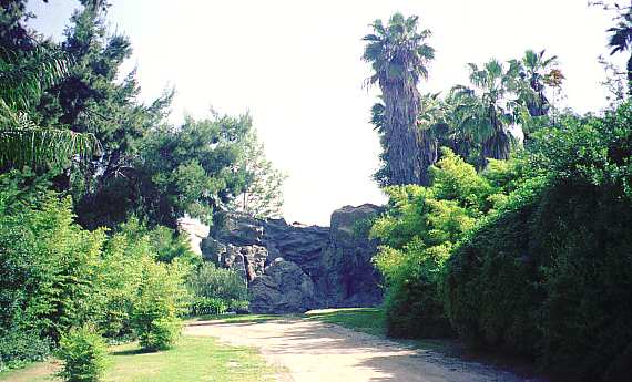 [ADAM R. JONES PHOTO]