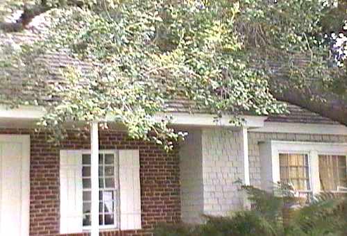 [ADAM R. JONES VIDEO IMAGE]