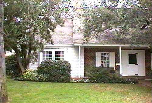 [ADAM R. JONES VIDEO IMAGE]