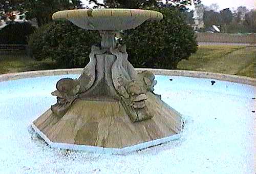 [ADAM R. JONES VIDEO IMAGE]