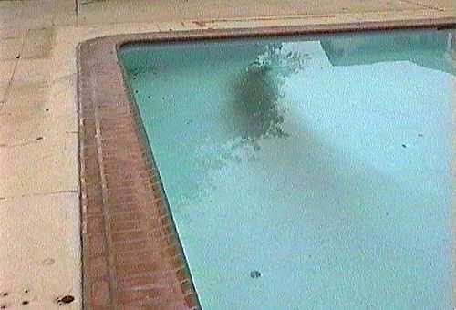 [ADAM R. JONES VIDEO IMAGE]