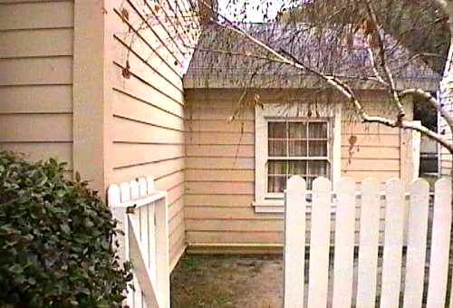 [ADAM R. JONES VIDEO IMAGE]