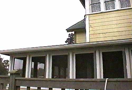 [ADAM R. JONES VIDEO IMAGE]